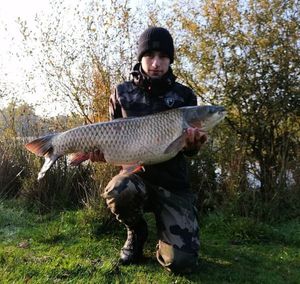 Silver Carp
