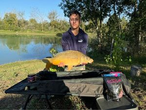 Mirror Carp
