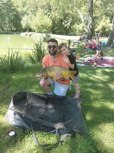 Common Carp