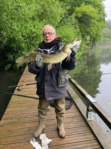 Northern Pike