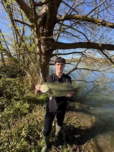 Largemouth Bass