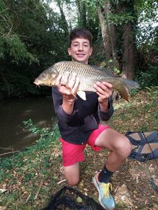 Common Carp