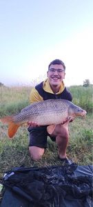 Common Carp