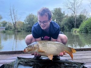 Common Carp