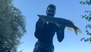 Northern Pike