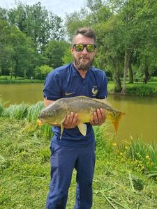 Mirror Carp