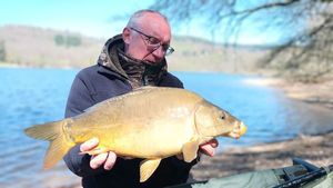 Mirror Carp
