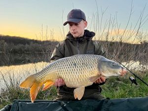 Common Carp