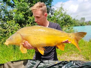 Mirror Carp
