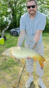 Common Carp