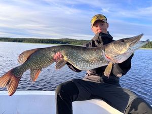 Northern Pike