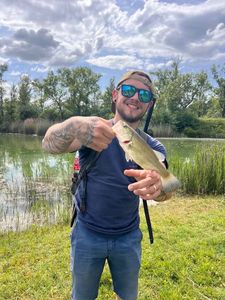 Largemouth Bass