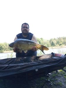 Mirror Carp