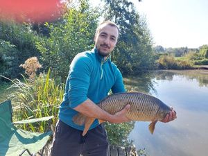 Common Carp