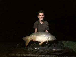 Mirror Carp