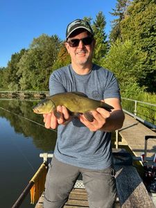 Tench