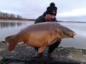 Mirror Carp