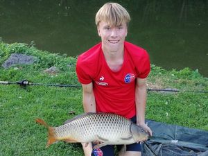 Common Carp