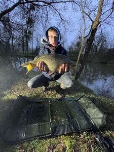 Common Carp