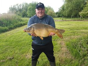 Common Carp