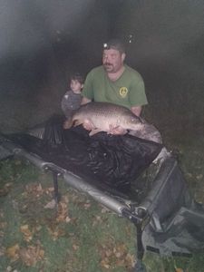 Common Carp