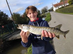 Northern Pike