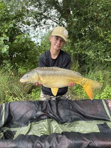 Mirror Carp