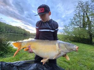Mirror Carp