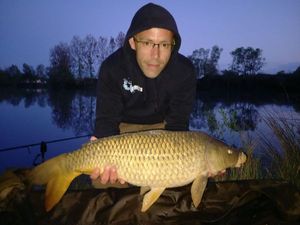 Common Carp