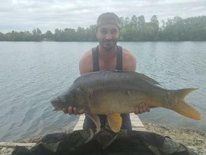 Mirror Carp
