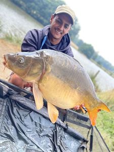 Mirror Carp