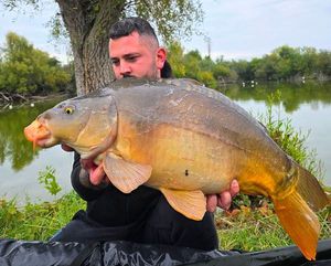 Mirror Carp