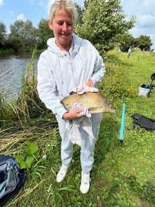 Common Bream