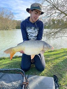 Common Carp