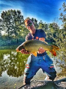 Common Carp