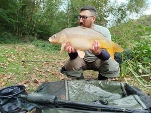 Mirror Carp
