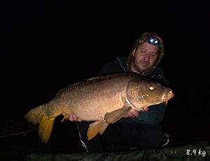 Leather Carp