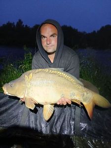 Mirror Carp