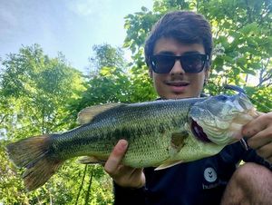 Largemouth Bass