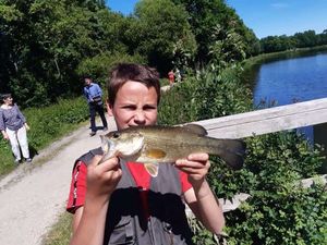 Largemouth Bass