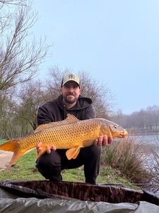 Common Carp