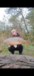 Mirror Carp