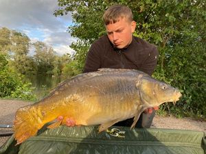 Mirror Carp