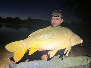Mirror Carp