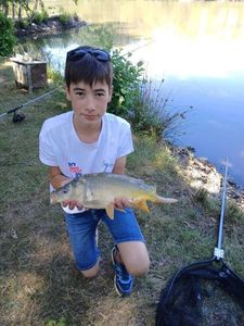 Mirror Carp