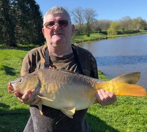 Mirror Carp