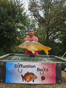 Mirror Carp
