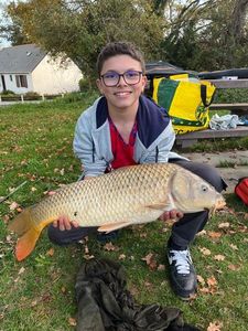 Common Carp
