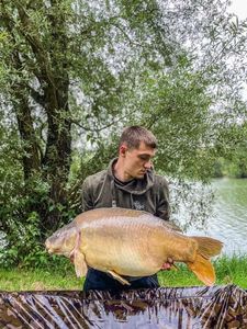 Leather Carp