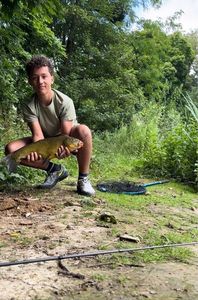 Tench